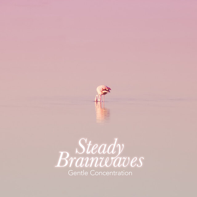 Steady Brainwaves