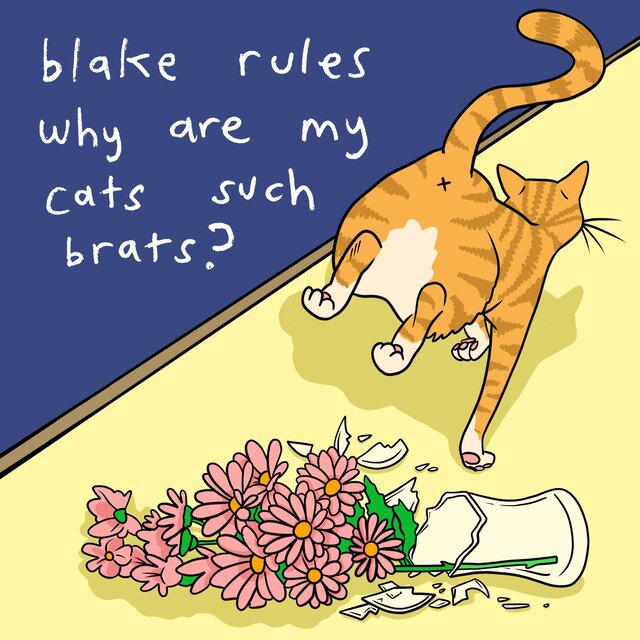 Why Are My Cats Such Brats?
