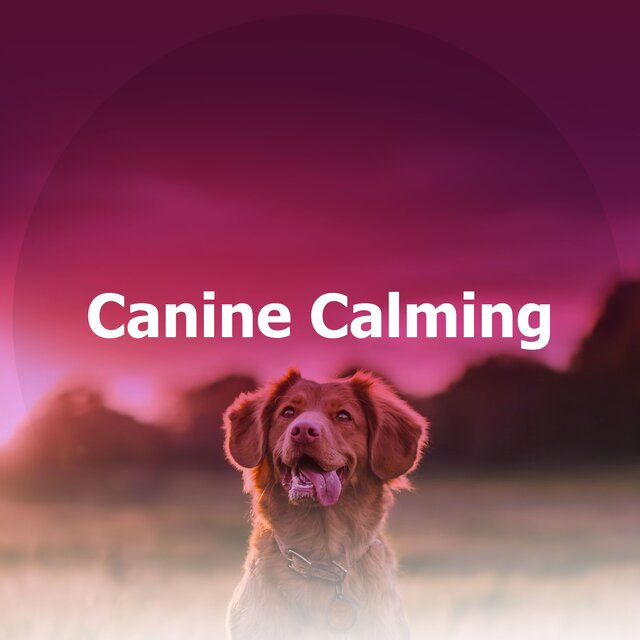 Canine Calming