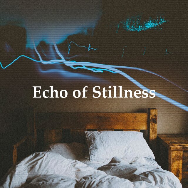 Echo of Stillness