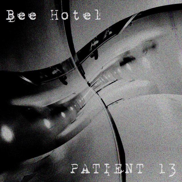 Patient 13