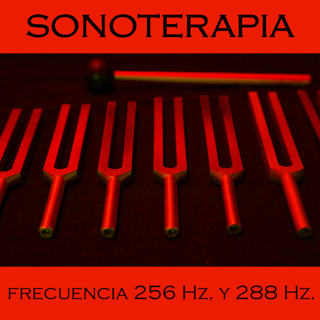 Frecuencia C-256 Hz. Y D-288 Hz. (feat. Rafiux Rafael Rosas)