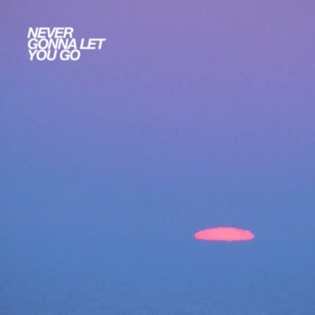 NEVER GONNA LET YOU GO