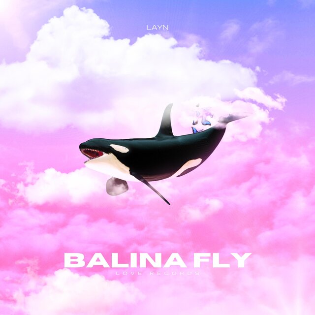 BALINA FLY