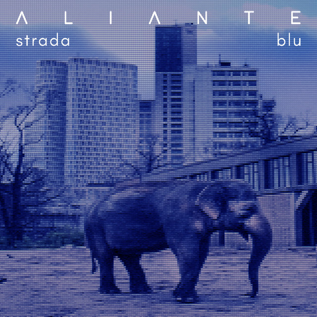 Strada blu