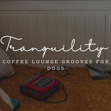 Doggone Jazz Reverie