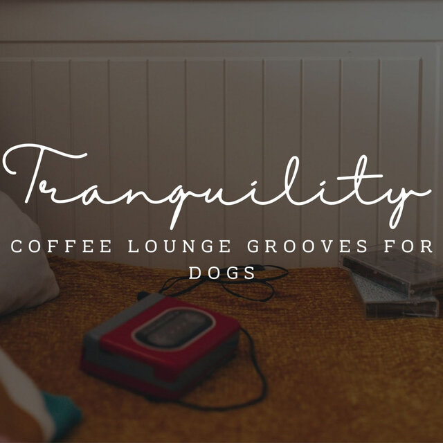 Jazz Tails and Tranquility: Coffee Lounge Grooves for Dogs