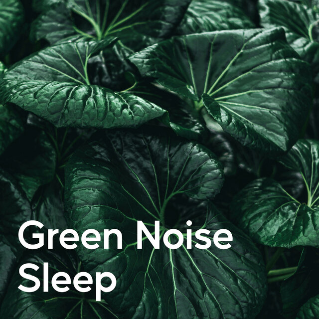 Green Noise Sleep