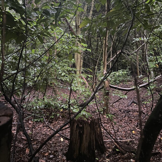 Lost & Not Found