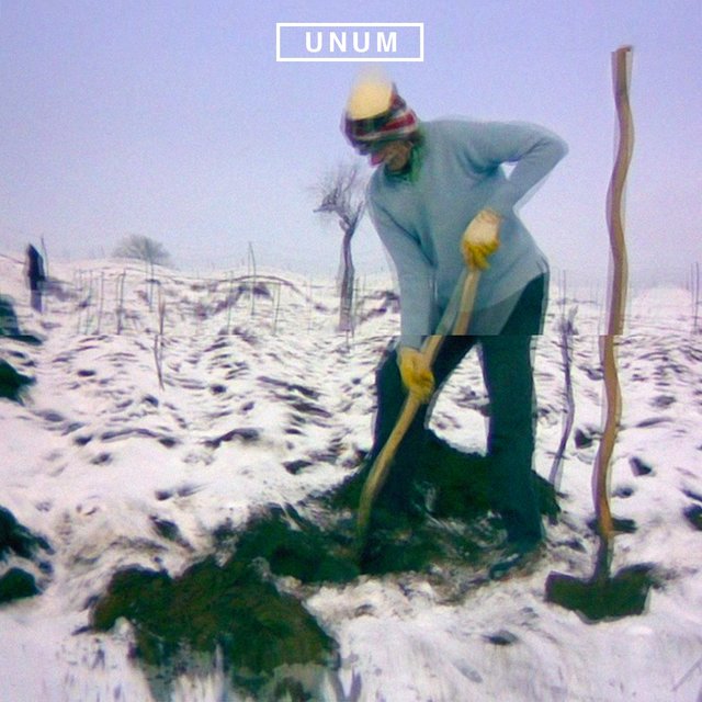 Unum