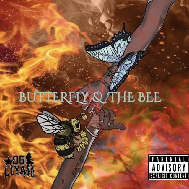 BUTTERFLY & THE BEE