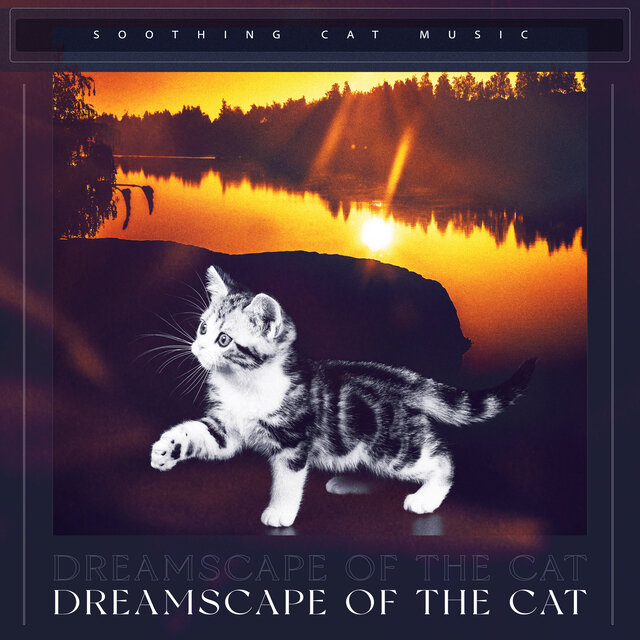 Dreamscape of the Cat