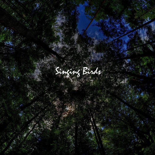 Singing Birds