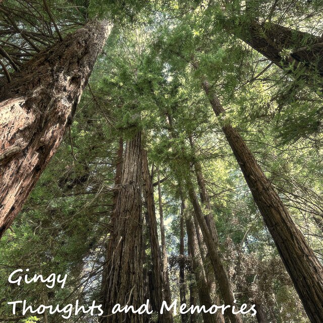Thoughts and Memories