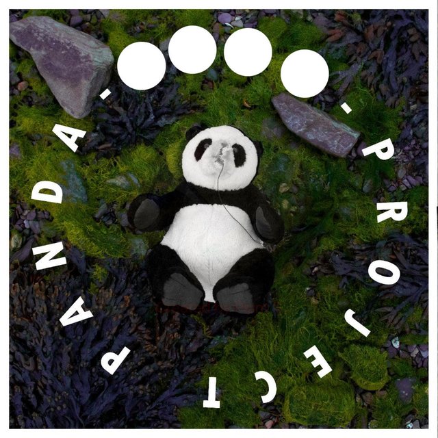 Project Panda
