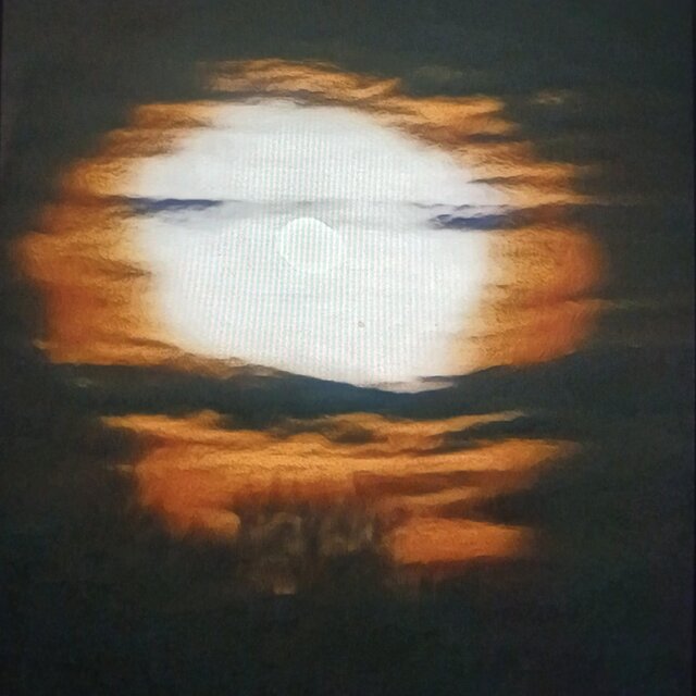 The Moon Shines Bright