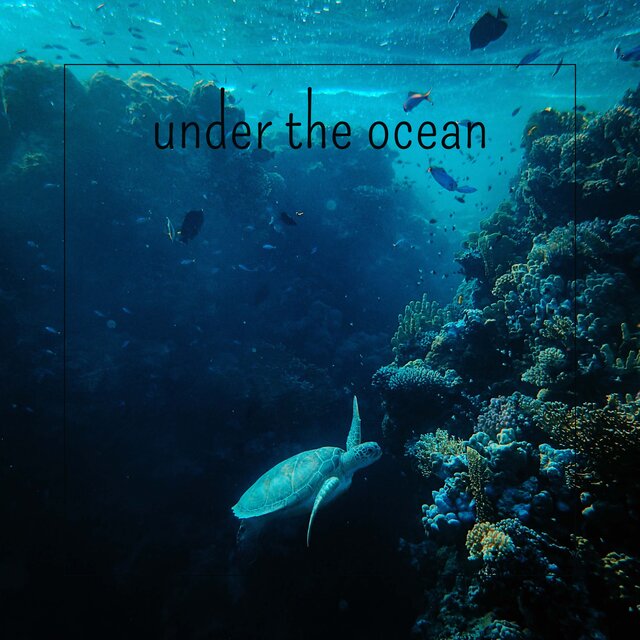 Under The Ocean