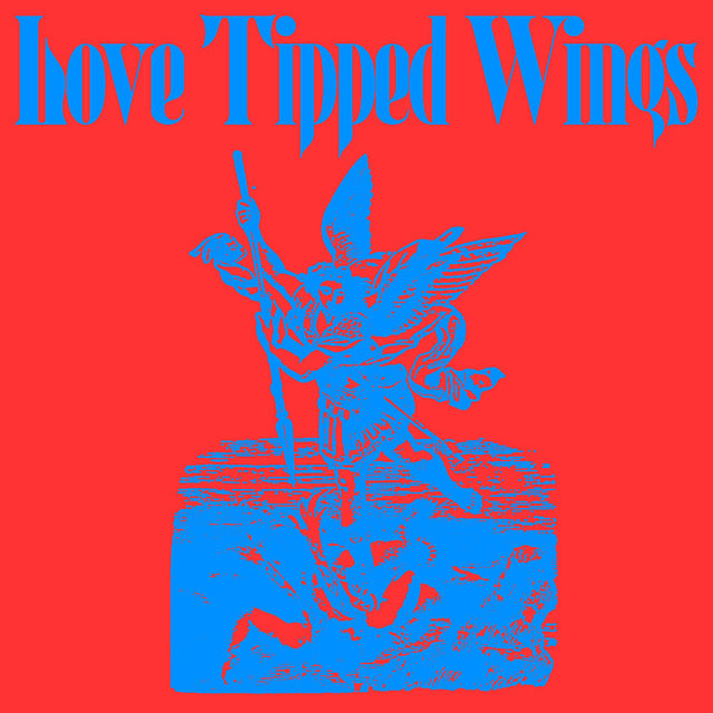 Love Tipped Wings