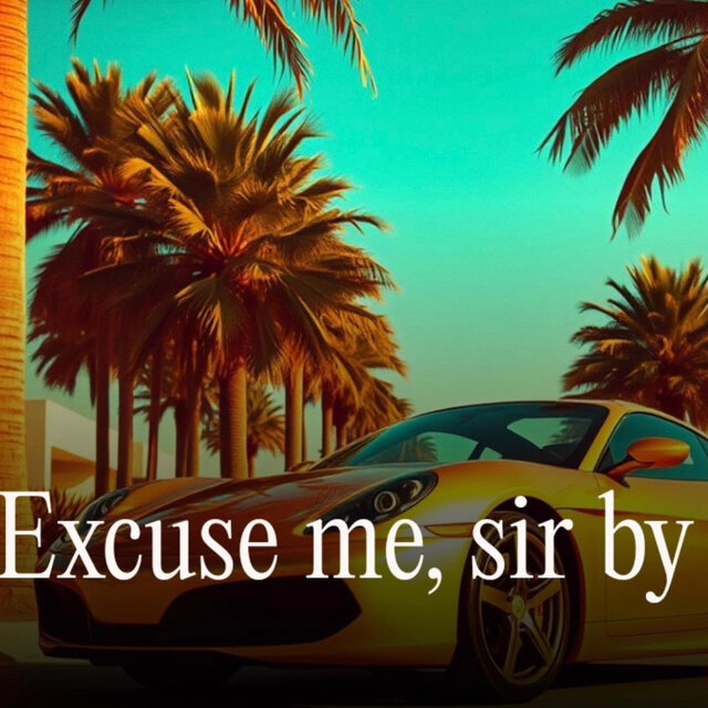 Excuse me, sir