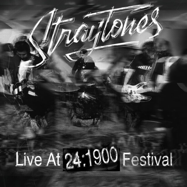 Live at 241900 Festival