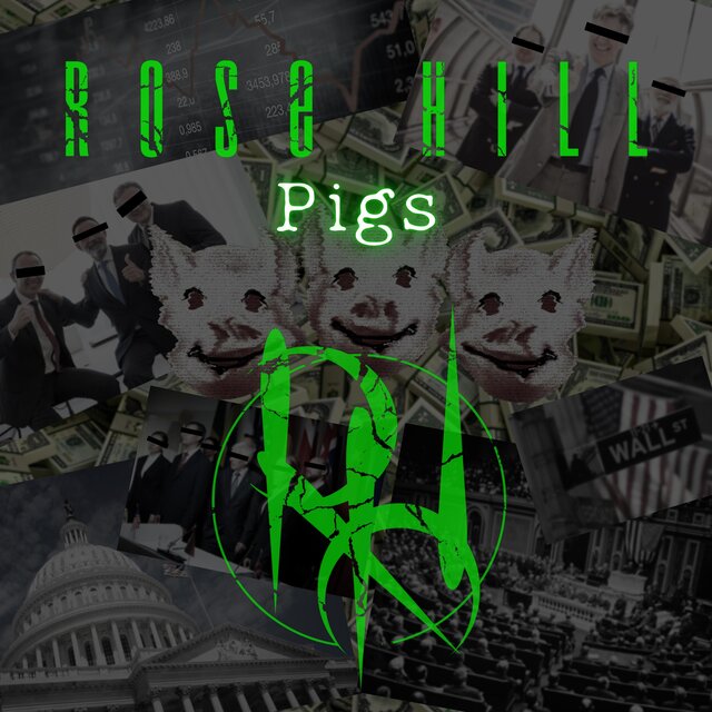 Pigs