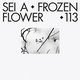 Cover art for album Frozen Flower by Sei A