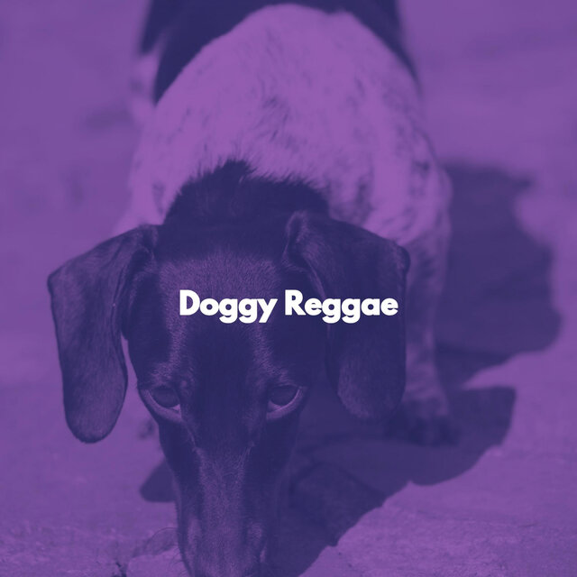 Doggy Reggae