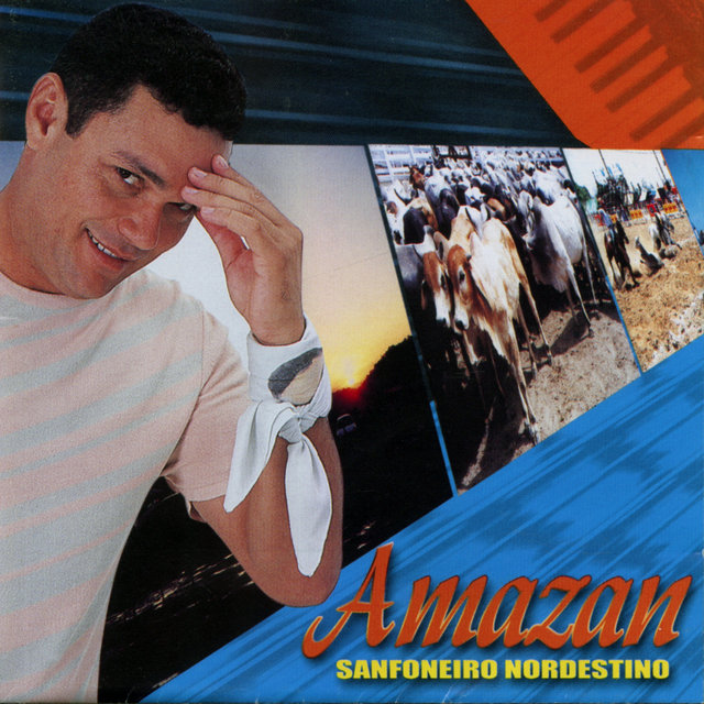 Sanfoneiro Nordestino