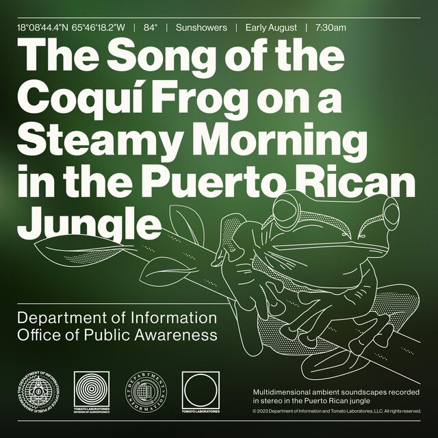 The Song of the Coquí Frog on a Steamy Morning in the Puerto Rican Jungle