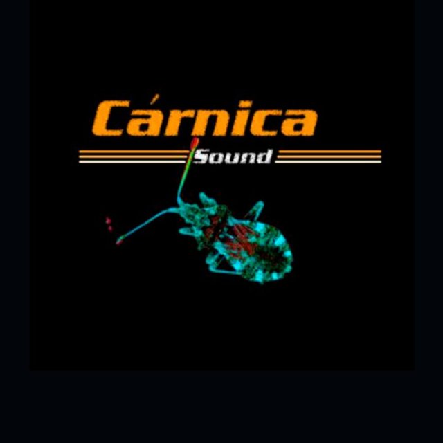 Cárnica Sound