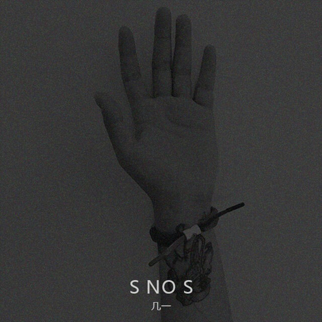 S NO S