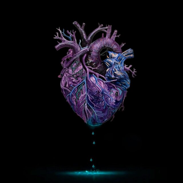 Blood In The Water