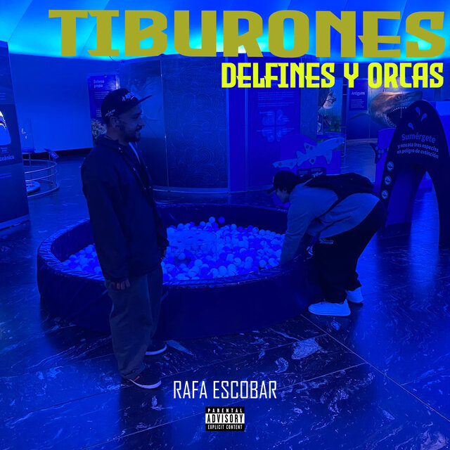 Tiburones Delfines y Orcas