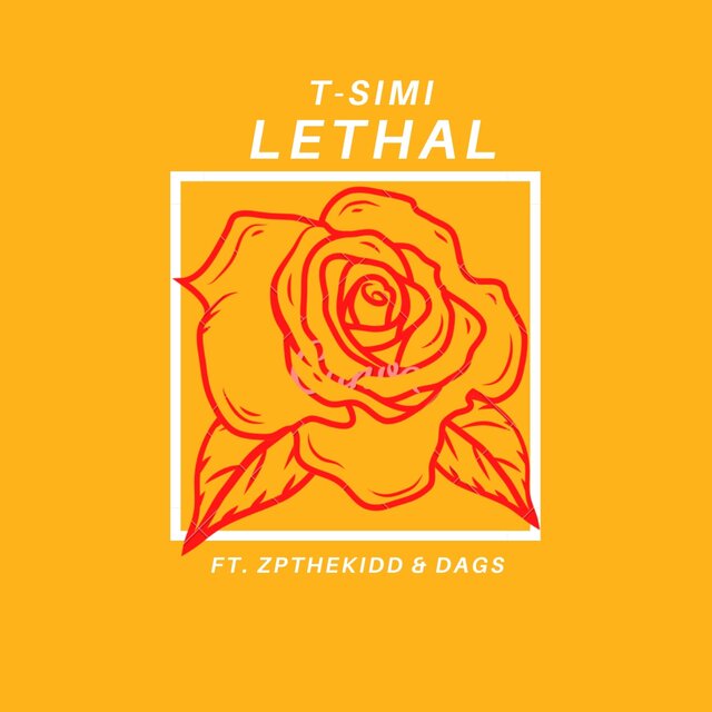 Lethal (feat. DAGS. & ZPthekidd)