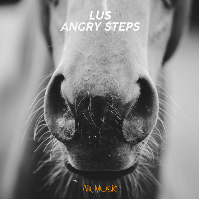 Angry Steps