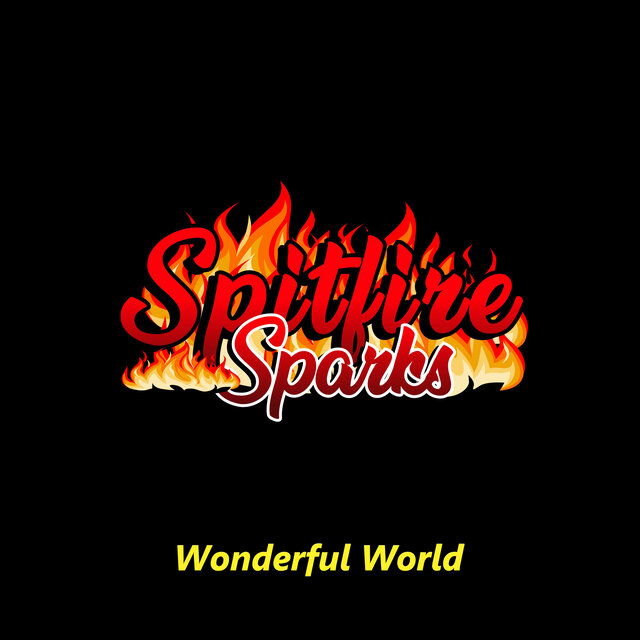 Wonderful World