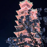 家里说