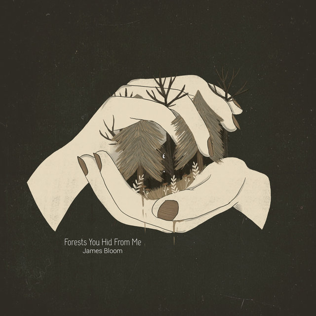 Forests You Hid from Me