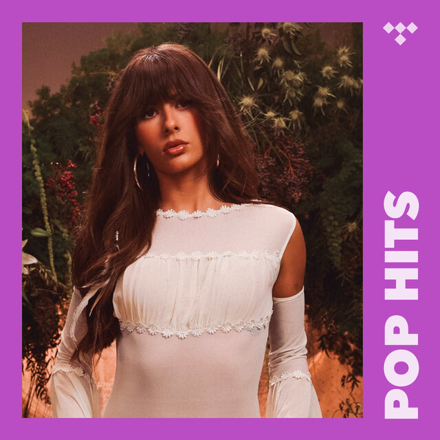 Cover art for album Pop Hits by TIDAL