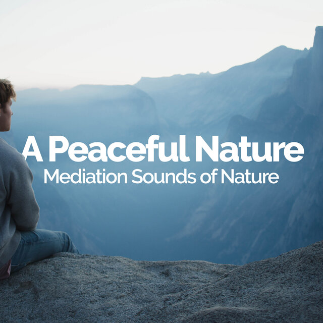 A Peaceful Nature