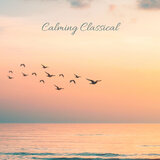 Vaughan Williams: The Lark Ascending