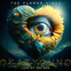 Cover art for album Look At You Now by The Flower Kings