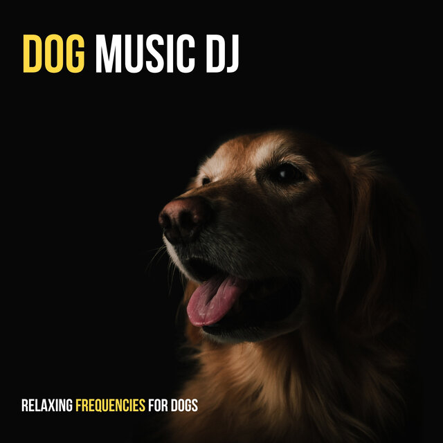 Relaxing Frequencies For Dogs