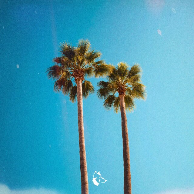 Endless Summer