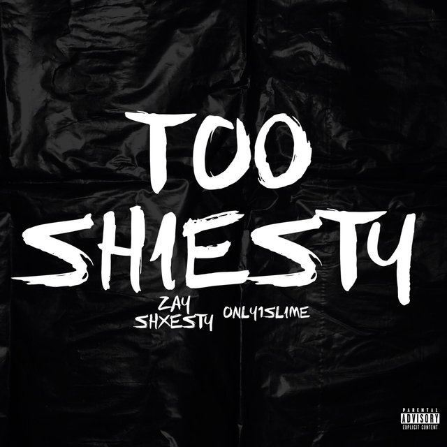 Too Shiesty (feat. Zay Shxesty)