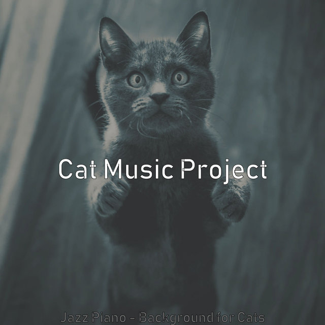 Jazz Piano - Background for Cats