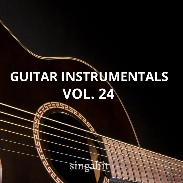 Guitar Acoustic Instrumental, Vol. 24