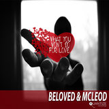 What You Won't Do For Love
