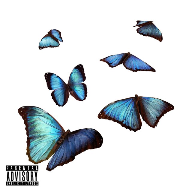 butterflies (in my head)