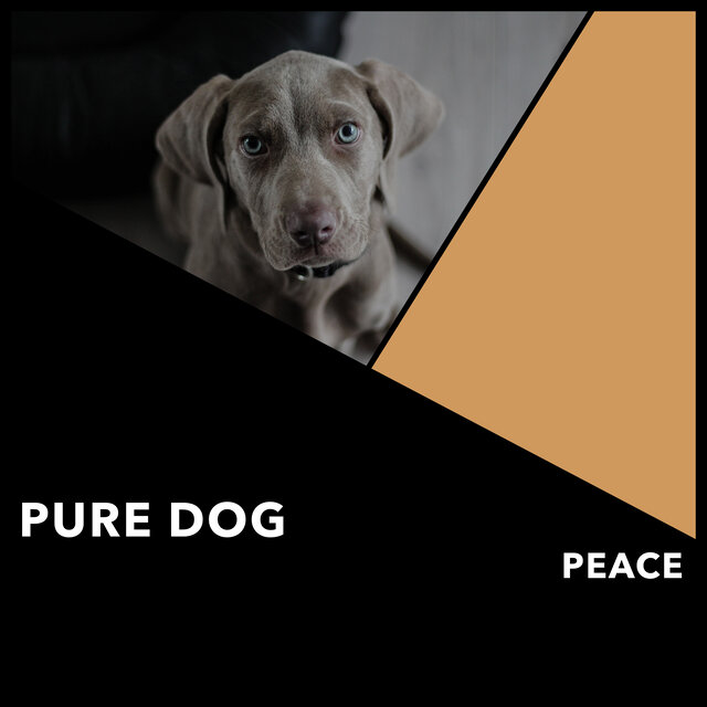 Pure Dog Peace